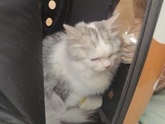 -宠颐生中康贝怡动物医院