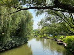 -上海滨江森林公园