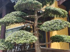 -西林禅寺