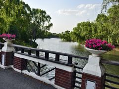 -华东政法大学(松江校区)