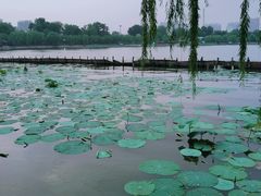 -济南大明湖景区