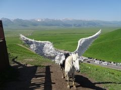 -新疆那拉提国家旅游度假区