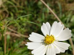 -白鹭湾湿地公园