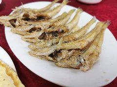 -蛇口康乐快餐鱼仔档(翠苑小区店)