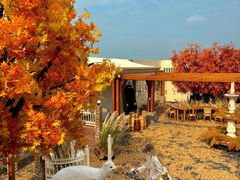 -Blue Concept Cafe&Farm·關於藍