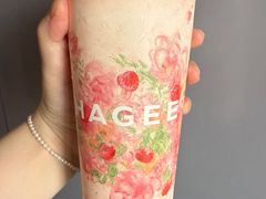 -合肥野生动物园