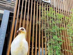 -琬苑鸽庄·川粤融合菜(解放碑总店)