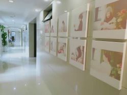 -大美母婴月子中心(馨乐庭店)