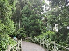 -井冈山风景名胜区