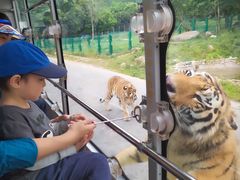 -西安秦岭野生动物园
