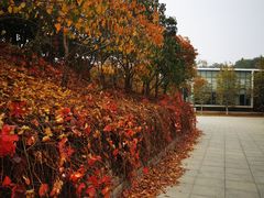 -南翠屏公园