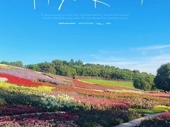 -沈阳植物园