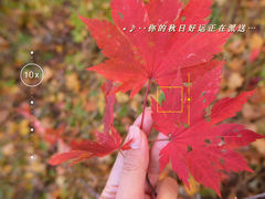 -沈阳市东陵公园