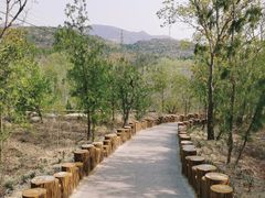 -白水寺森林公园