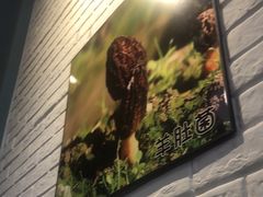 -菌乡缘·野生菌蒸汽鱼火锅(江边夜市店)