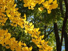 -西北湖绿化广场