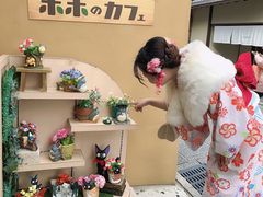 -樱京和服租赁体验(京都总店)