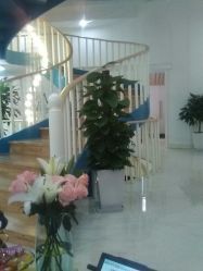 -新蝶变皮肤管理中心