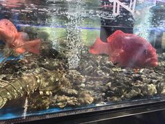 -盒马鲜生(岭南新世界店)