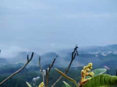 -綦江古剑山