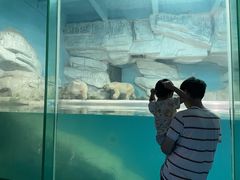 -泉城欧乐堡海洋极地世界