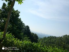 -火炉山森林公园