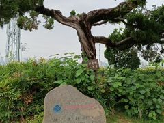 -乌山风景区