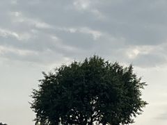 -御道口草原森林风景区