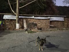 -途中饭店(开化店)