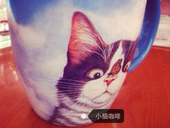 小猫咖啡-三楼上的猫咖啡馆(山师东路店)