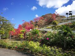 -塞班肯辛顿酒店Kensington Hotel Saipan