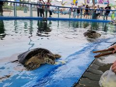 -北戴河圣蓝海洋公园