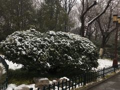 -山东大学(趵突泉校区)