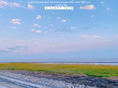 -南汇嘴观海公园