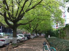 -四川大学(望江校区)