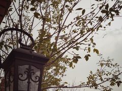 -天津东丽湖风景区