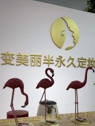 -变美丽半永久纹眉连锁·机器野生眉·洗眉