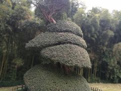 -苏州河梦清园环保主题公园