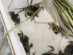 -水岸居湖景农家乐·阳澄湖大闸蟹