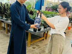 -荷兰花海