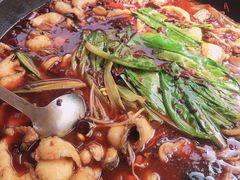 -都江堰石锅鱼