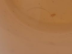 -和庆斋阳坊秘制羊蝎子火锅(云岗店)