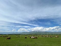 -新疆那拉提国家旅游度假区