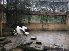 -宁波野生动物园