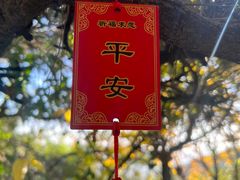 -香山公园