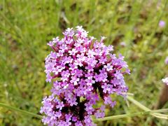 -杭州城北体育公园