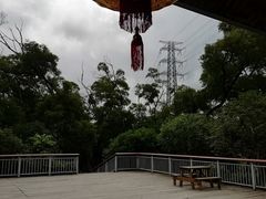 -金鸡山公园
