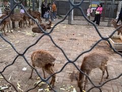 -长白岛森林公园