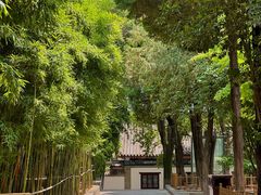 -大慈恩寺(大雁塔)