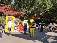 -杭州半山国家森林公园